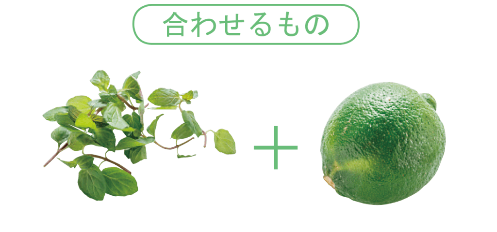ジンジャーエールといちごのふなスパ