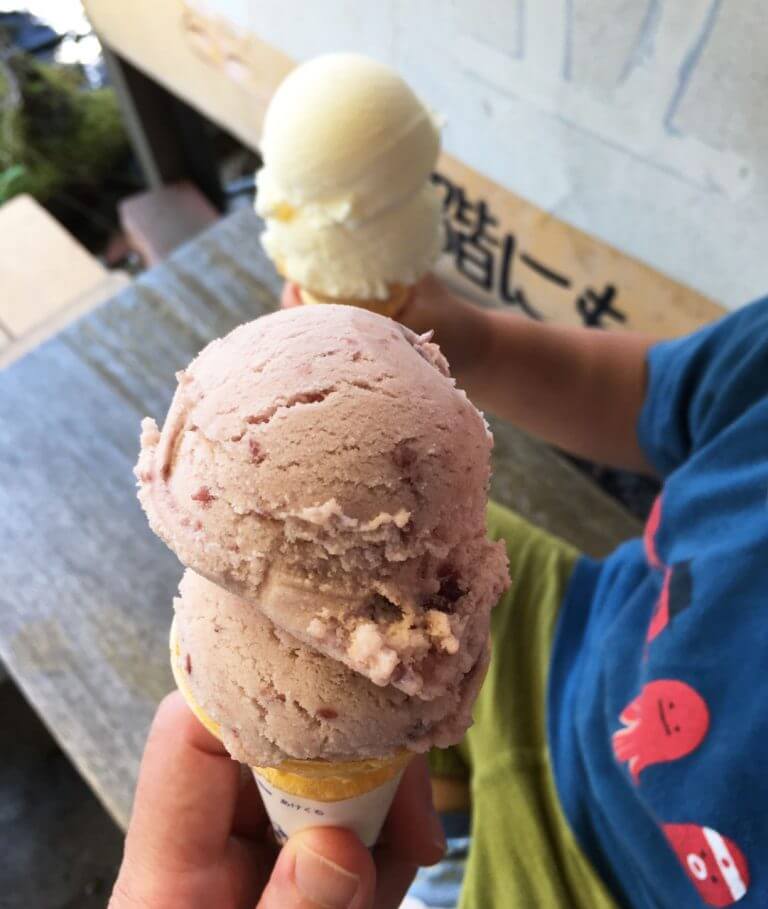 見附に行ったら必ず食べたくなる！長年愛される「谷信」のアイス 街ニュース 新潟の街ニュース＆ローカル情報 Komachi Web（こまちウェブ）