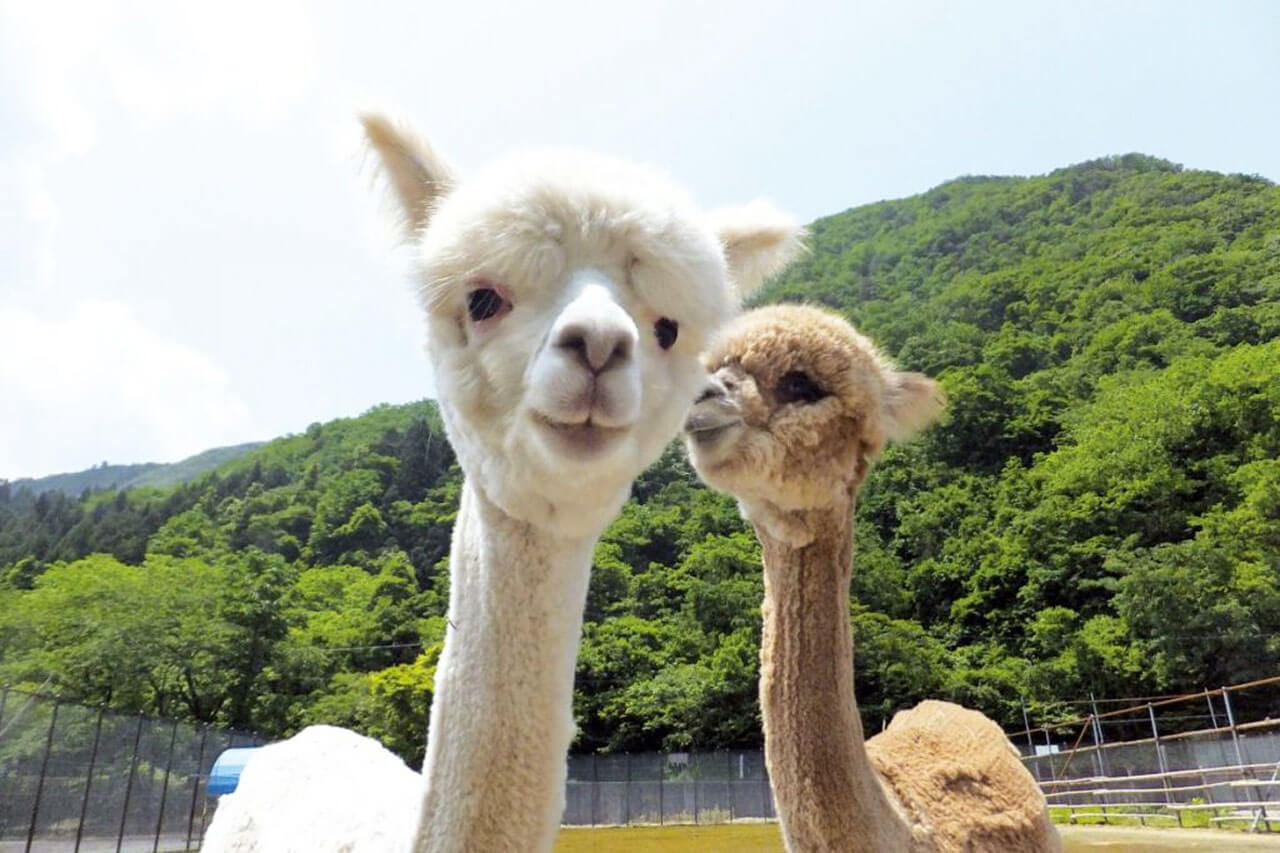 樽ケ橋遊園