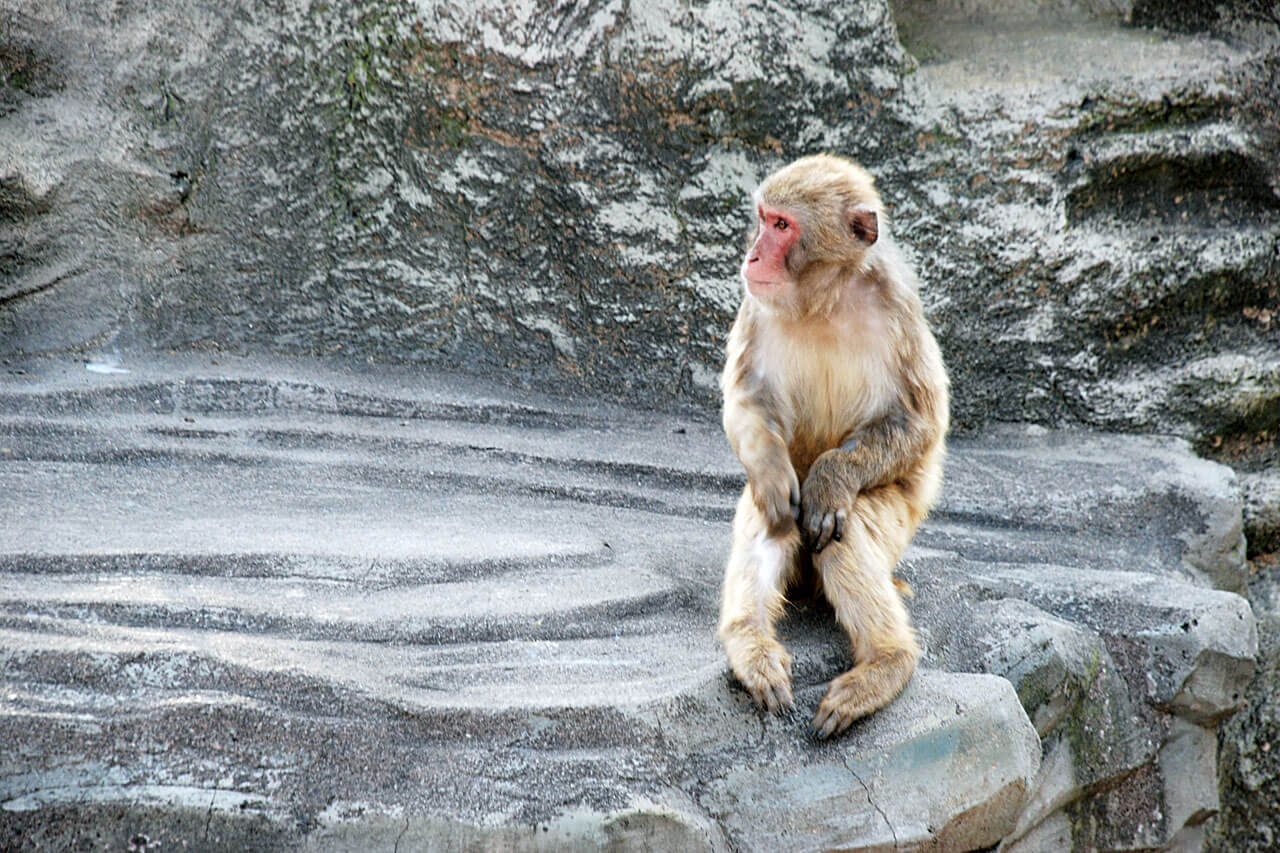 悠久山公園