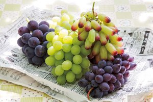 2024�N�Łb�Ԃǂ��A���A�����S�ȂǁI�V���Ŋy���߂�H�̖��o���X�|�b�g�܂Ƃ߂̉摜14