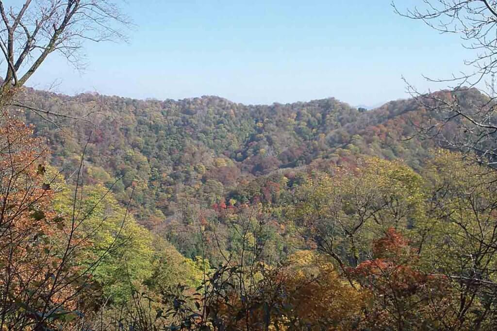 年版 定番の名所から穴場まで 新潟県の紅葉スポット53選 街ニュース 新潟の街ニュース ローカル情報 Komachi Web こまちウェブ