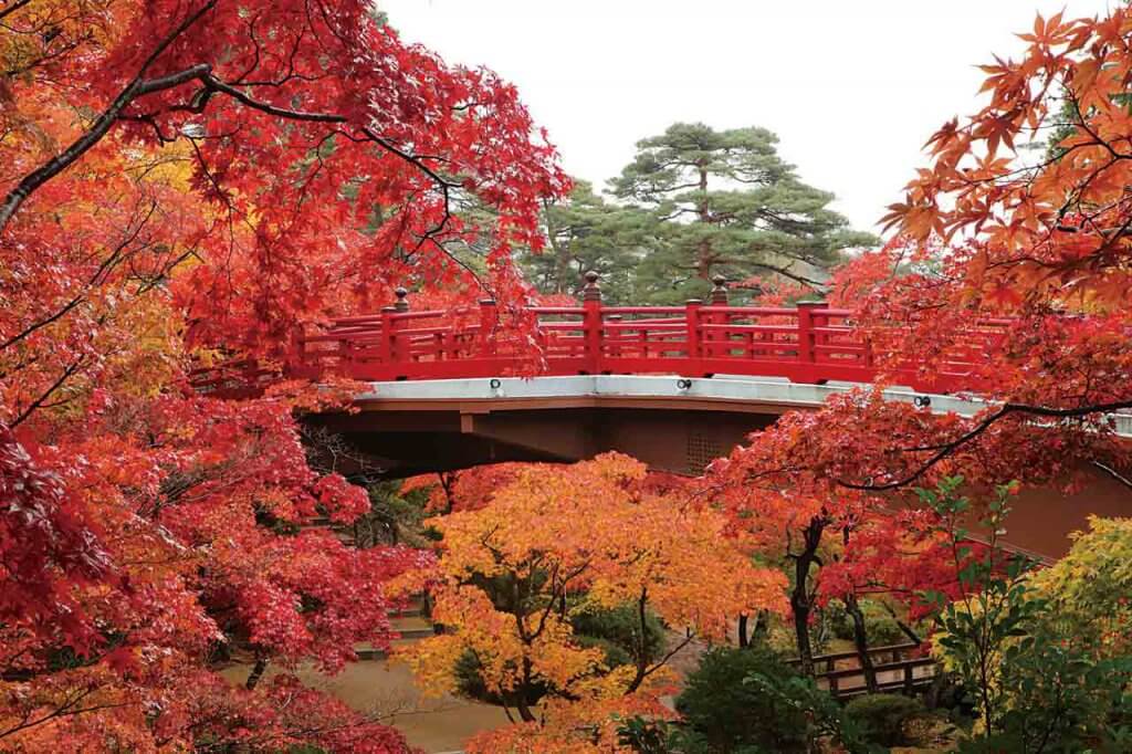 年版 定番の名所から穴場まで 新潟県の紅葉スポット53選 街ニュース 新潟の街ニュース ローカル情報 Komachi Web こまちウェブ