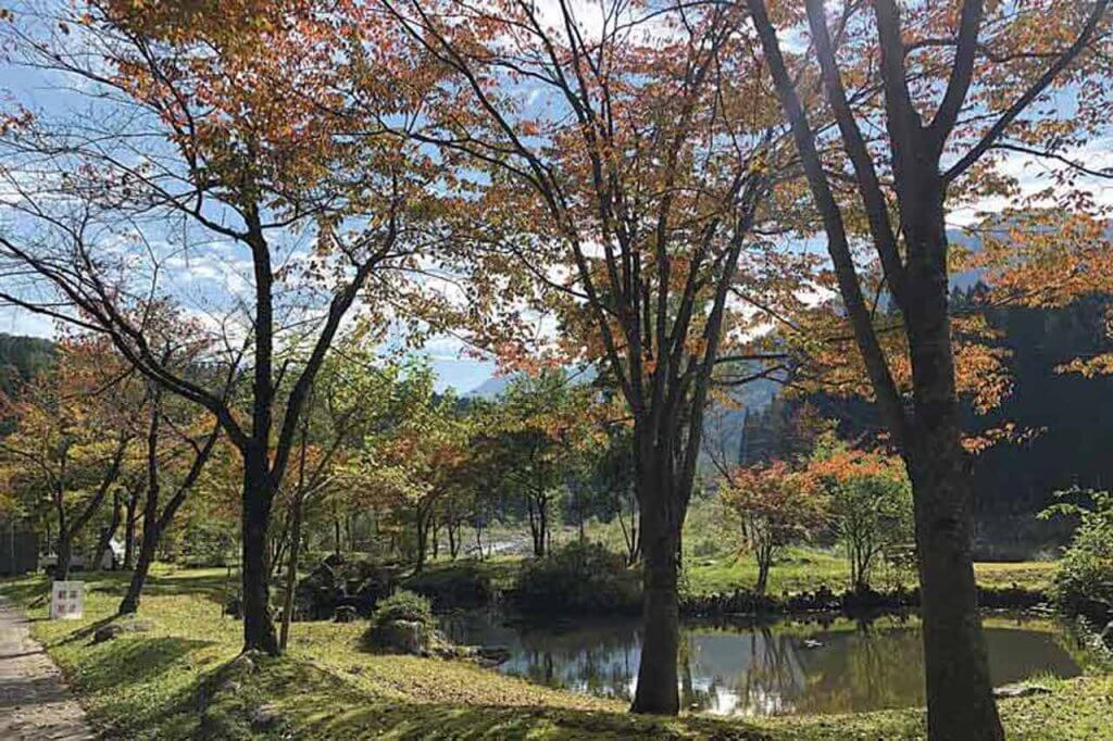 年版 定番の名所から穴場まで 新潟県の紅葉スポット53選 街ニュース 新潟の街ニュース ローカル情報 Komachi Web こまちウェブ