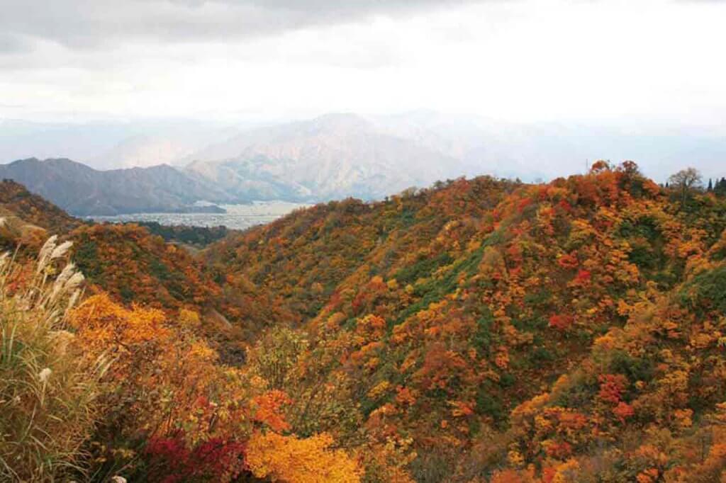 年版 定番の名所から穴場まで 新潟県の紅葉スポット53選 街ニュース 新潟の街ニュース ローカル情報 Komachi Web こまちウェブ