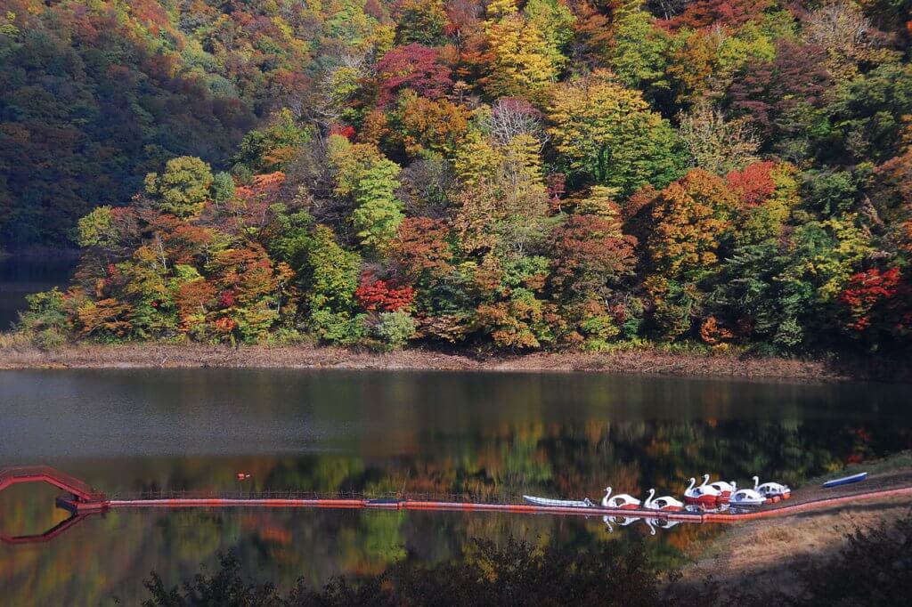 潮風を感じる県北へ 村上市 胎内市 関川村の紅葉スポット おすすめベーカリー 街ニュース 新潟の街ニュース ローカル情報 Komachi Web こまちウェブ