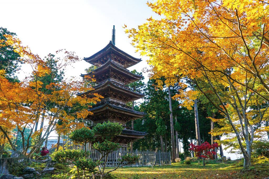 佐渡で紅葉とおいしいパンめぐり オトクなキャンペーンを利用して島ならではの魅力を満喫 街ニュース 新潟の街ニュース ローカル情報 Komachi Web こまちウェブ