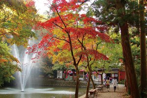 多彩な魅力を誇る新潟県の中心部！加茂市･燕市･三条市の紅葉スポット＆おすすめベーカリーの画像12