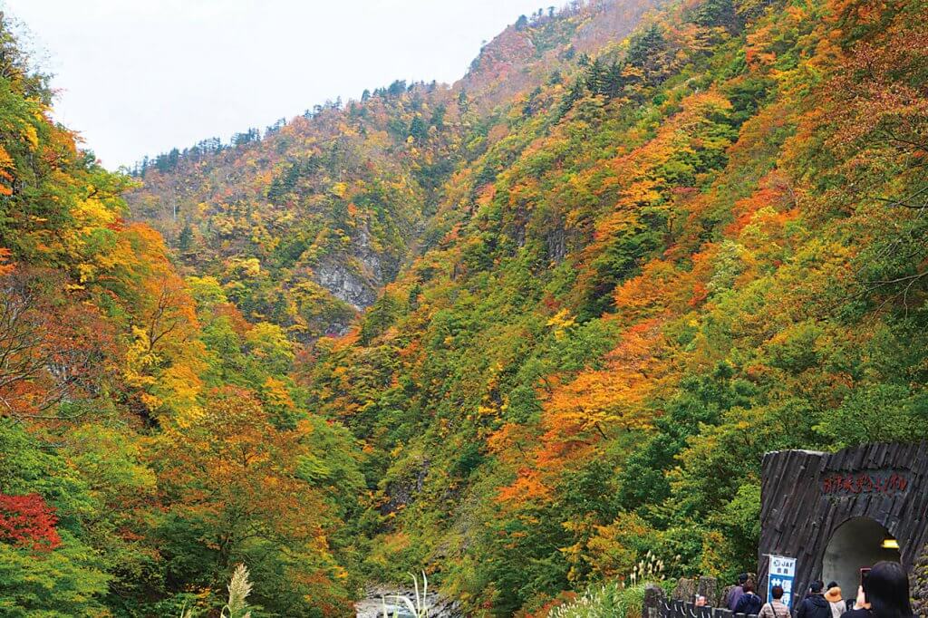 渓谷美も楽しめる秘境感あふれるエリア 十日町市 津南町 湯沢町の紅葉スポット おすすめベーカリー 街ニュース 新潟の街ニュース ローカル情報 Komachi Web こまちウェブ