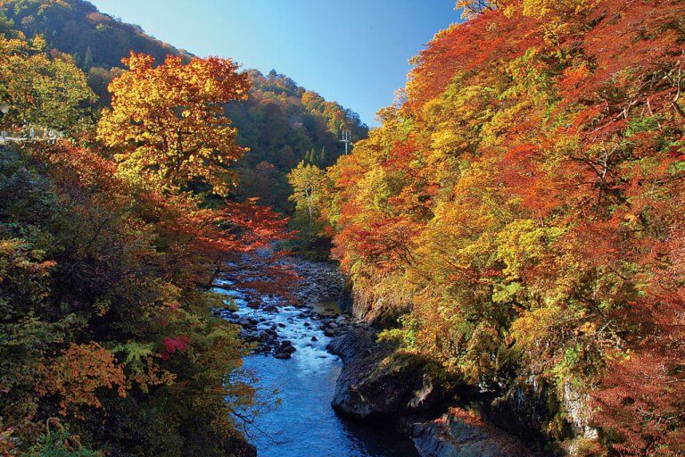 渓谷美も楽しめる秘境感あふれるエリア 十日町市 津南町 湯沢町の紅葉スポット おすすめベーカリーの写真3 街ニュース 新潟の街ニュース ローカル情報 Komachi Web こまちウェブ