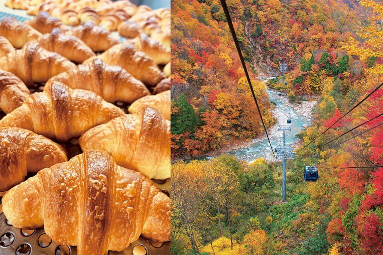 渓谷美も楽しめる秘境感あふれるエリア 十日町市 津南町 湯沢町の紅葉スポット おすすめベーカリー 街ニュース 新潟の街ニュース ローカル情報 Komachi Web こまちウェブ