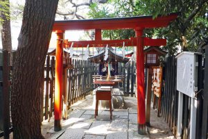 �����v�ʁI�V�������p���[�X�|�b�g�߂���_�Х��15�I�̉摜25