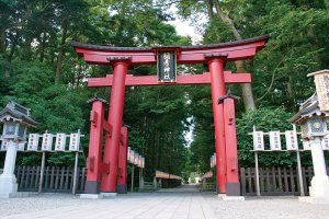 �����v�ʁI�V�������p���[�X�|�b�g�߂���_�Х��15�I�̃��C���摜