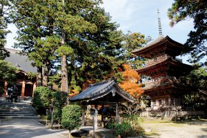 �����v�ʁI�V�������p���[�X�|�b�g�߂���_�Х��15�I�̉摜32