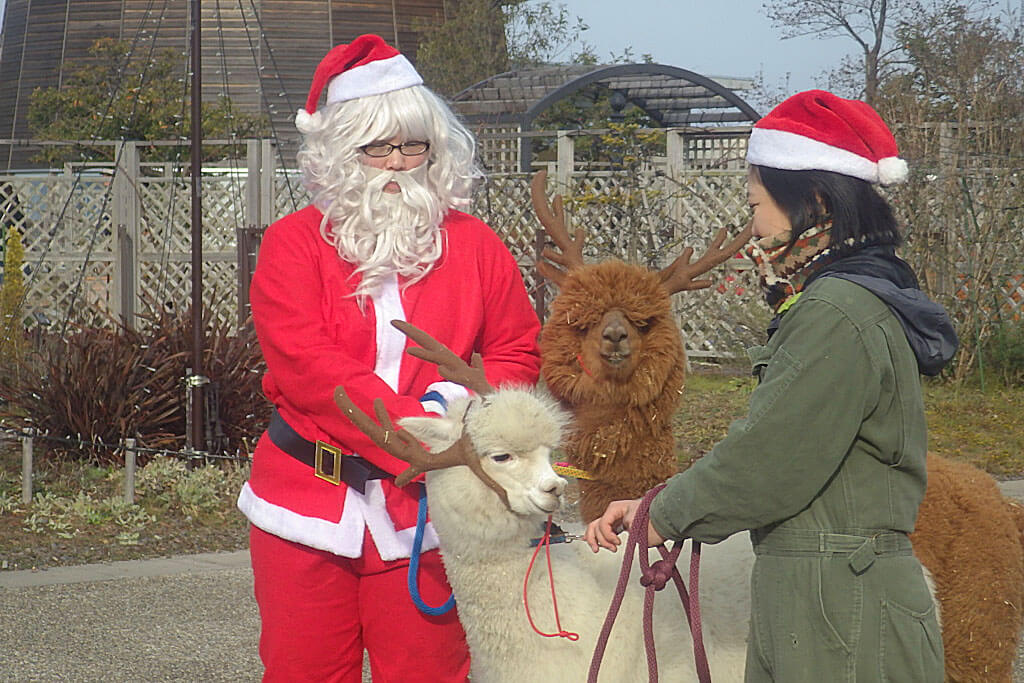 年版 新潟のクリスマスイベント特集 初開催の企画や親子で楽しめる企画も 街ニュース 新潟の街ニュース ローカル情報 Komachi Web こまちウェブ