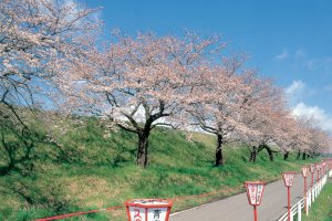 2025bVEzGA lC̍EԌX|bg ԁ 41Ỉ摜13