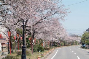 2025bVEzGA lC̍EԌX|bg ԁ 41Ỉ摜14