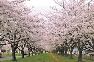 2025bVEzGA lC̍EԌX|bg ԁ 41Ỉ摜19