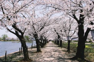 2025bVEzGA lC̍EԌX|bg ԁ 41Ỉ摜22