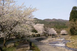 2025bVEzGA lC̍EԌX|bg ԁ 41Ỉ摜23