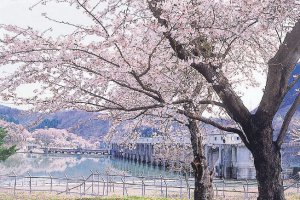 2025bVEzGA lC̍EԌX|bg ԁ 41Ỉ摜34