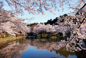 2025bVEzGA lC̍EԌX|bg ԁ 41Ỉ摜36