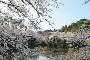 2025bVEzGA lC̍EԌX|bg ԁ 41Ỉ摜37