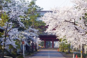 2025bV̂ԌEX|bg50I@Cxg̉摜31