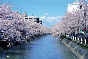 2025bV̂ԌEX|bg50I@Cxg̉摜35