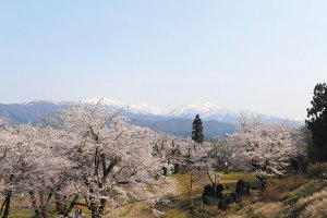 2025bV̂ԌEX|bg50I@Cxg̉摜38