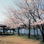 2025�b�V���̂��Ԍ��E���X�|�b�g50�I�@�������C�x���g�����̉摜45