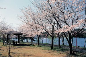 2025bV̂ԌEX|bg50I@Cxg̉摜45