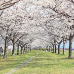 2025�b�V���̂��Ԍ��E���X�|�b�g50�I�@�������C�x���g�����̉摜49