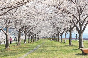 2025bV̂ԌEX|bg50I@Cxg̉摜49