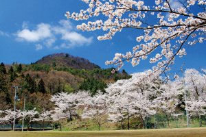 2025bVEzGA lC̍EԌX|bg ԁ 41Ỉ摜8