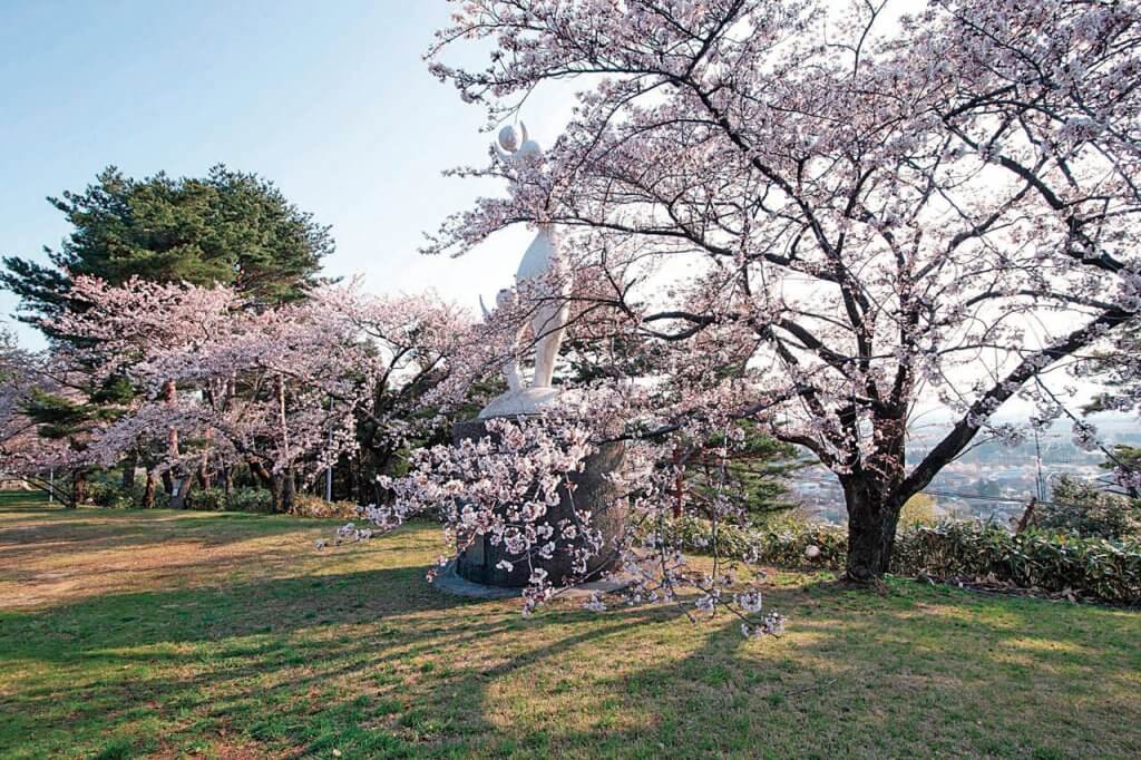 21年版 新潟のお花見スポット64選 桜の名所 定番 穴場 街ニュース 新潟の街ニュース ローカル情報 Komachi Web こまちウェブ