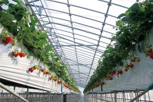 2025bV̂X|bg13Ỉ摜4