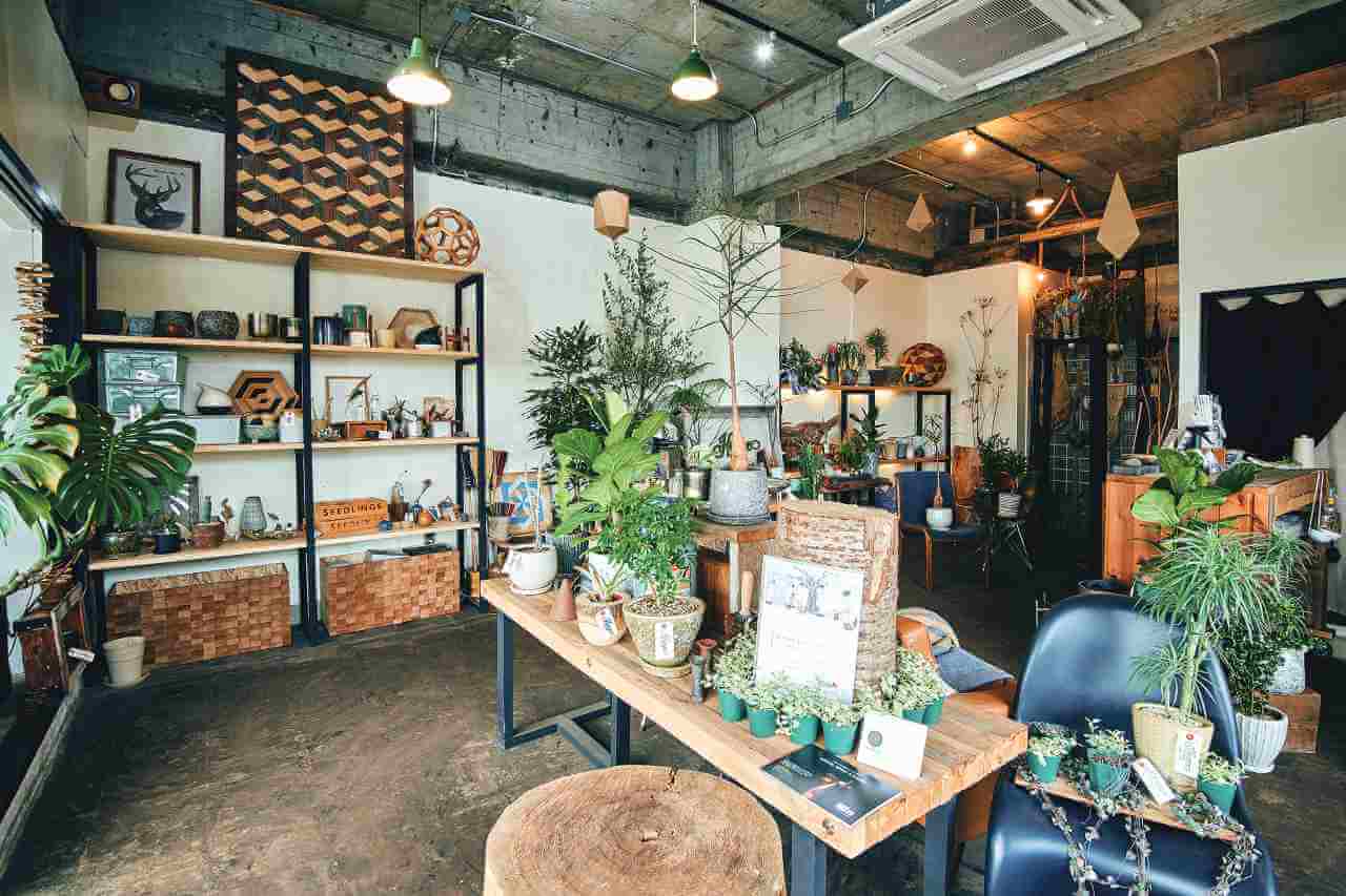 Hygge plant shop（ヒュッゲプラントショップ）／田上町にあった観葉