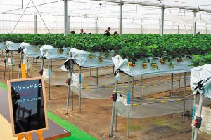 2025bV̂X|bg13Ỉ摜3