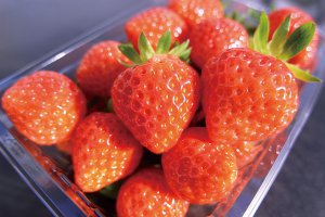 2025bV̂X|bg13Ỉ摜10