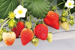 2025bV̂X|bg13Ỉ摜12