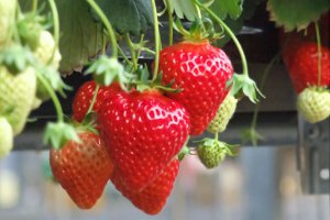 2025bV̂X|bg13Ỉ摜8