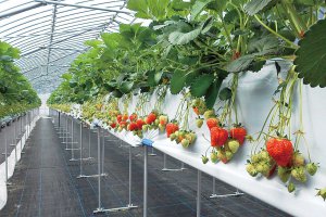 2025bV̂X|bg13Ỉ摜11