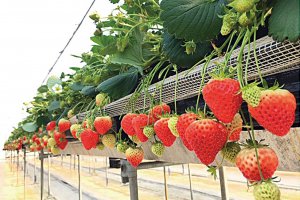 2025bV̂X|bg13Ỉ摜9