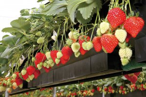 2025bV̂X|bg13Ỉ摜7