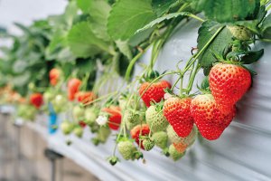 2025bV̂X|bg13Ỉ摜6