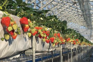 2025bV̂X|bg13Ỉ摜5