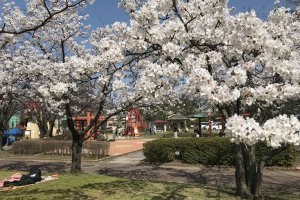 2025bVEzGA lC̍EԌX|bg ԁ 41Ỉ摜9