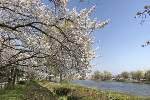 2025bVEzGA lC̍EԌX|bg ԁ 41Ỉ摜10