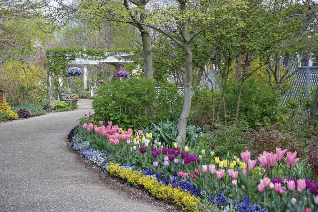 春から初夏の花めぐり 新潟のおすすめ花スポット25選 街ニュース 新潟の街ニュース ローカル情報 Komachi Web こまちウェブ